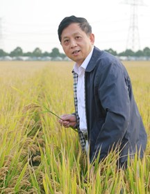 罗利军　研究员　水稻遗传的应用基础研究